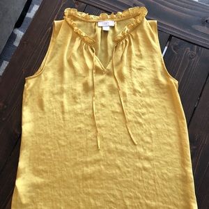 Ann Taylor Loft Ruffle Blouse